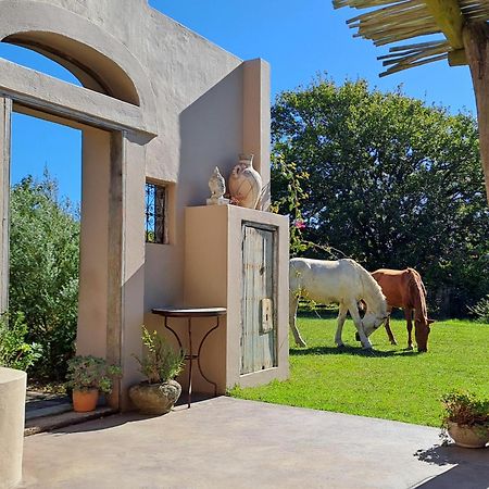 Akasha Mountain Retreat, New Location Villa Heidelberg  Exterior photo